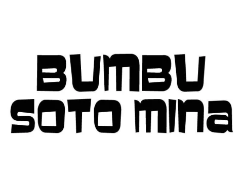 Bumbu Soto Mima