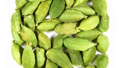 Green cardamom and other spices and herbs in stock